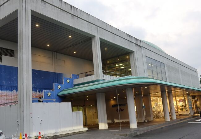 周りの人を気にせず鑑賞することができる