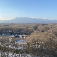 部屋からの眺め