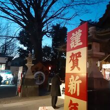 拝殿横のご神木
