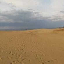 日本海が見える