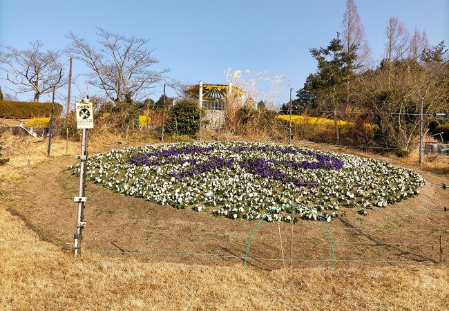 冬の東青山四季のさと