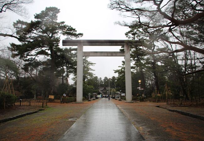 花手水が綺麗