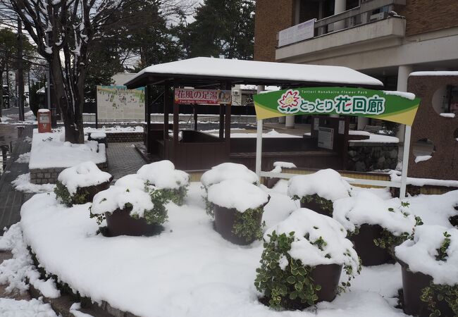 花風の足湯