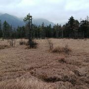 11月の景色は物寂しい