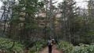 大正池から河童橋へ