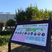 隅田川の左岸に広がる南北に長い公園