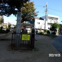 全体の様子です。