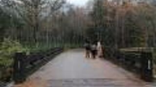 梓川の清らさがよくわかります