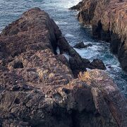 穏やかな海で見れた潮吹き