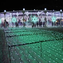 イルミネーション④