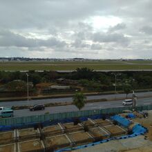 展望台からの景色