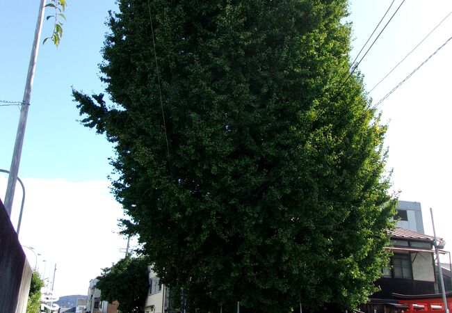 島原住吉神社の旧境内の北側にあります。