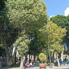 Zócalo de Puebla