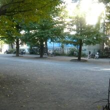 堀留児童公園の敷地内の様子です。緑の樹々が心地良い感じです。