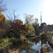 江戸時代にルーツのある都立庭園です