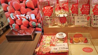 いちごの里 JR宇都宮駅店