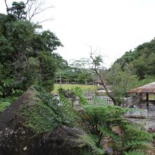 ～遊歩道から入園受付側を振り返るとこんな感じです～　