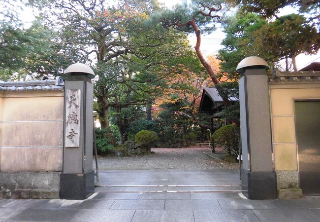 いかにも歴史があるといった感じのお寺