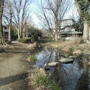 浅く水量の少ない川沿いの緑道は、とてものんびり