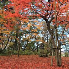 もみじ園『丘の上の迎賓館』