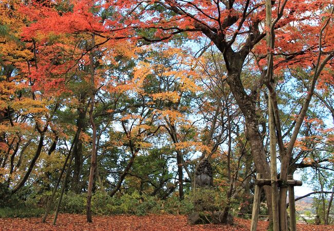 もみじ園 丘の上の迎賓館