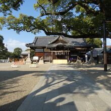 百舌鳥八幡宮拝殿