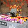 鎌数伊勢大神宮の神楽