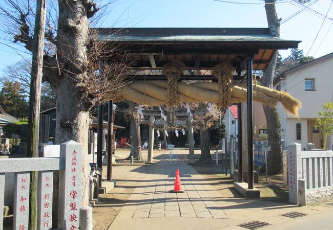 鳥居には500㎏の大しめ縄が飾られています