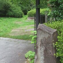 緑がいっぱいの普通の庭です