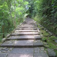 庭園へと続きます