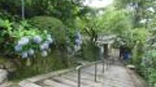 長い階段を登ります