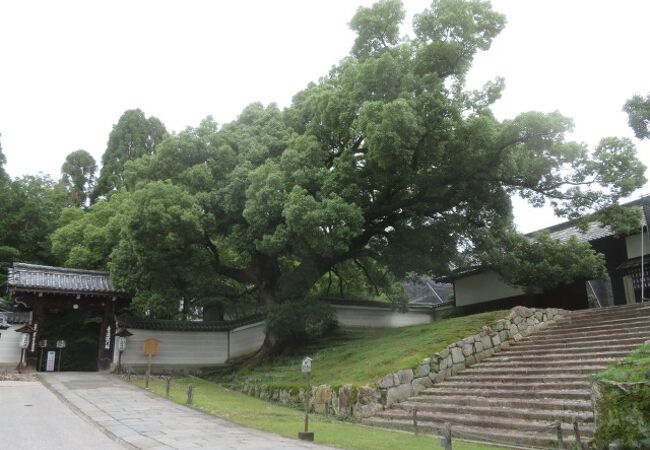 お寺ながら跡です