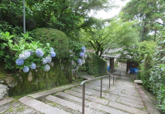 長い階段を登ります