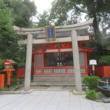 美の象徴の神様です