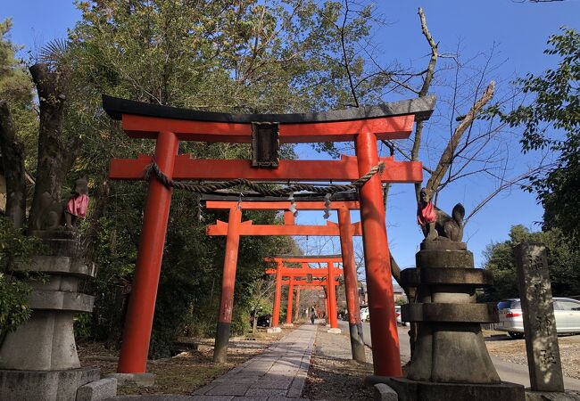 朱色の鳥居が眩しい