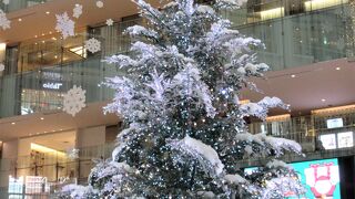 1階アトリウムの大きなクリスマスツリーと、6階「キッテガーデン」からの東京駅赤レンガ駅舎の見晴らしの良さに感動！