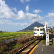 開聞岳と菜の花と列車が絵になります