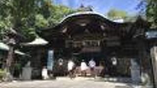 人気が高いうさぎのおみくじお守り