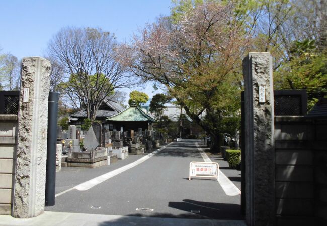 吉祥寺駅近の一等地