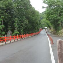 護国神社に続く道です
