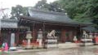 維新の道を登っていきます