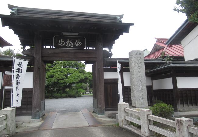 お庭が綺麗です