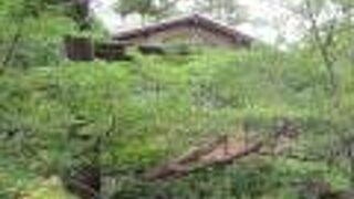 全景は撮れませんね