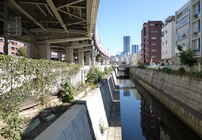 昼と夜では印象が異なります