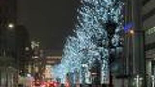 冬はぜひ地上も覗いてみて