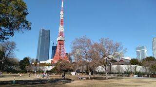 シンボルツリーの東京タワー