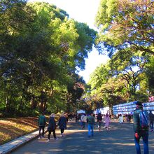1月も8日になれば空いていた
