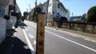 緑の多い裏通りです