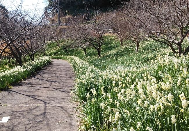 佐久間ダム湖親水公園