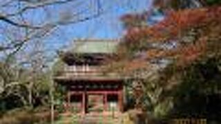 潮来観光はアヤメの次に源頼朝の創建と伝わる紅葉の長勝寺（ちょうしょうじ）が名高い。